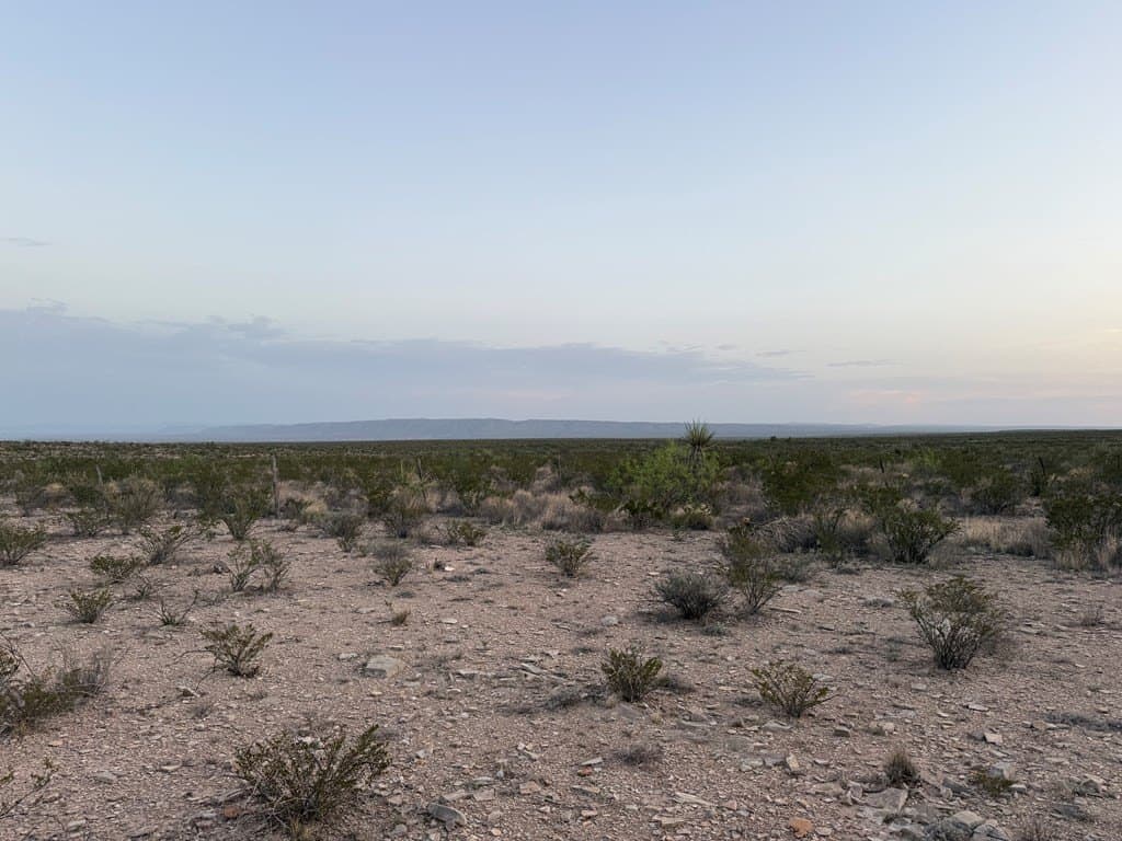 450 acres in Terrell County - photo 10