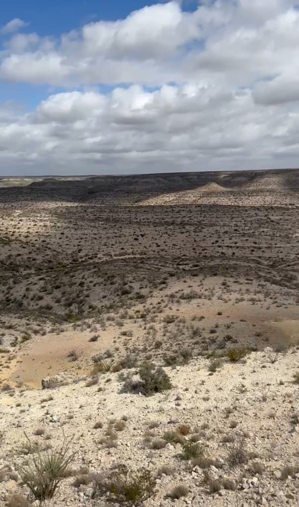 450 acres in Terrell County - photo 19