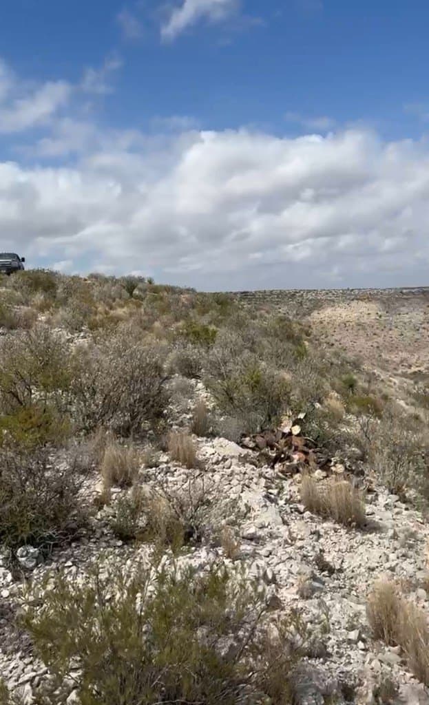 450 acres in Terrell County - photo 16