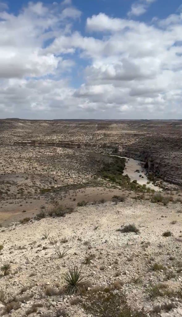 450 acres in Terrell County - photo 17