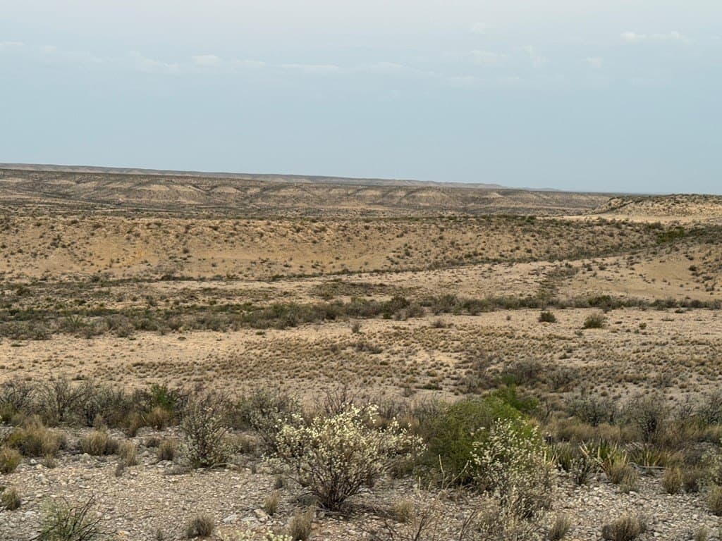 450 acres in Terrell County - photo 13