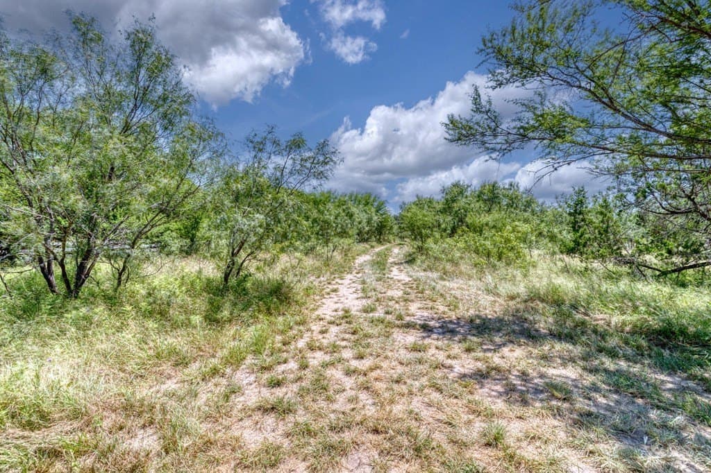 1.8 acres in Real County gallery image 3