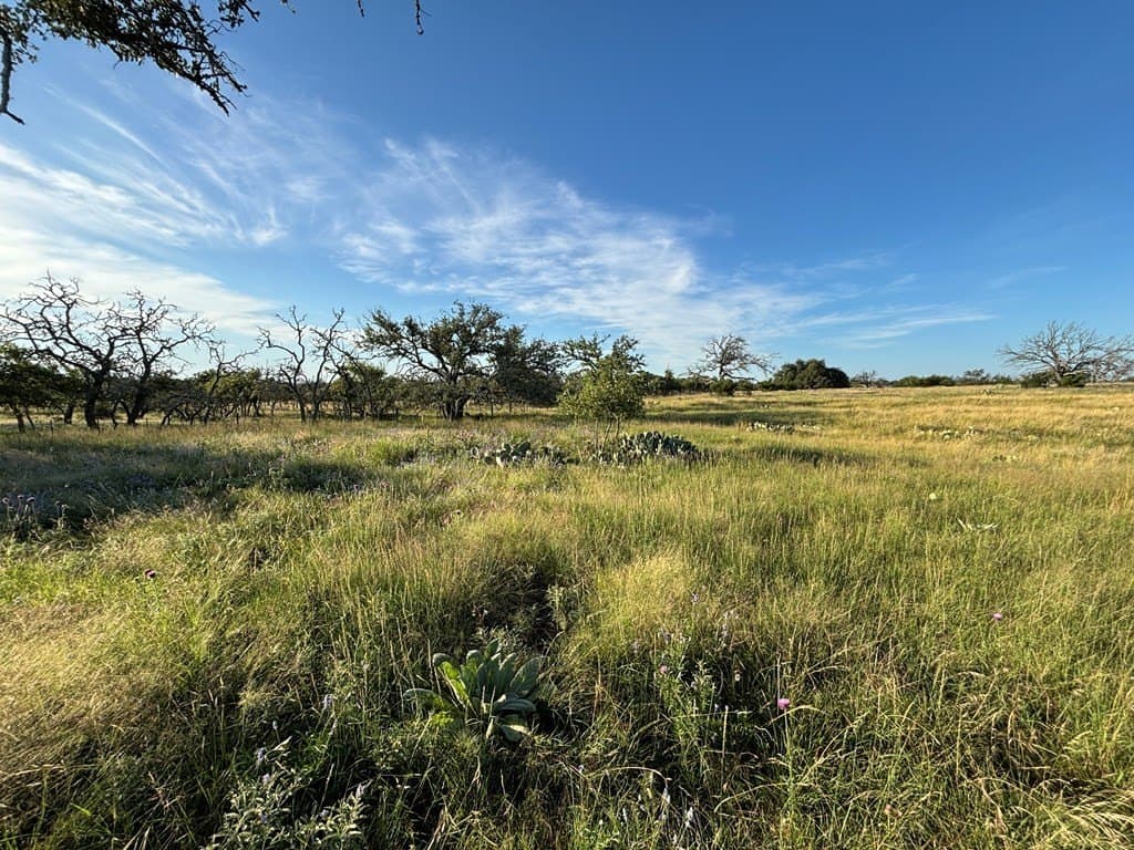 5.04 acres in Kerr County gallery image 3