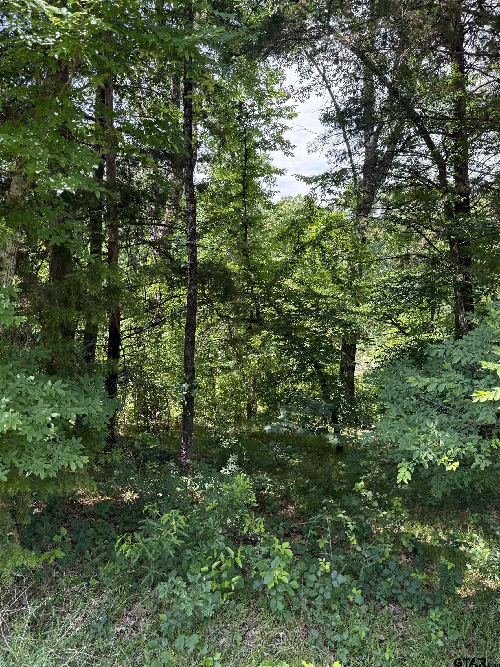 0.62 acres in Smith County - photo 6
