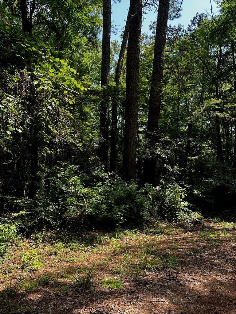 0.28 acres in Texas County - photo 6