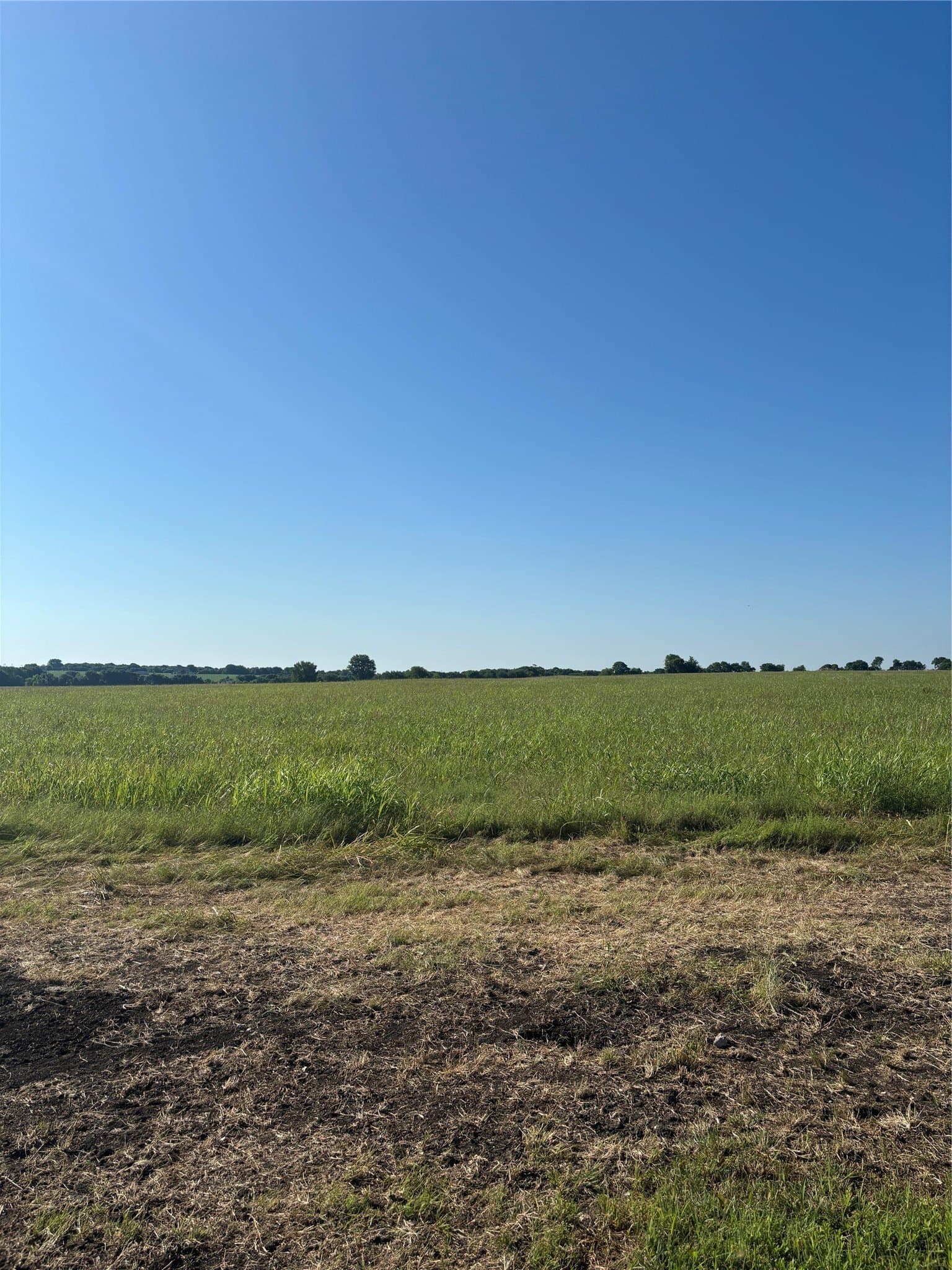 1.5 acres in Ellis County