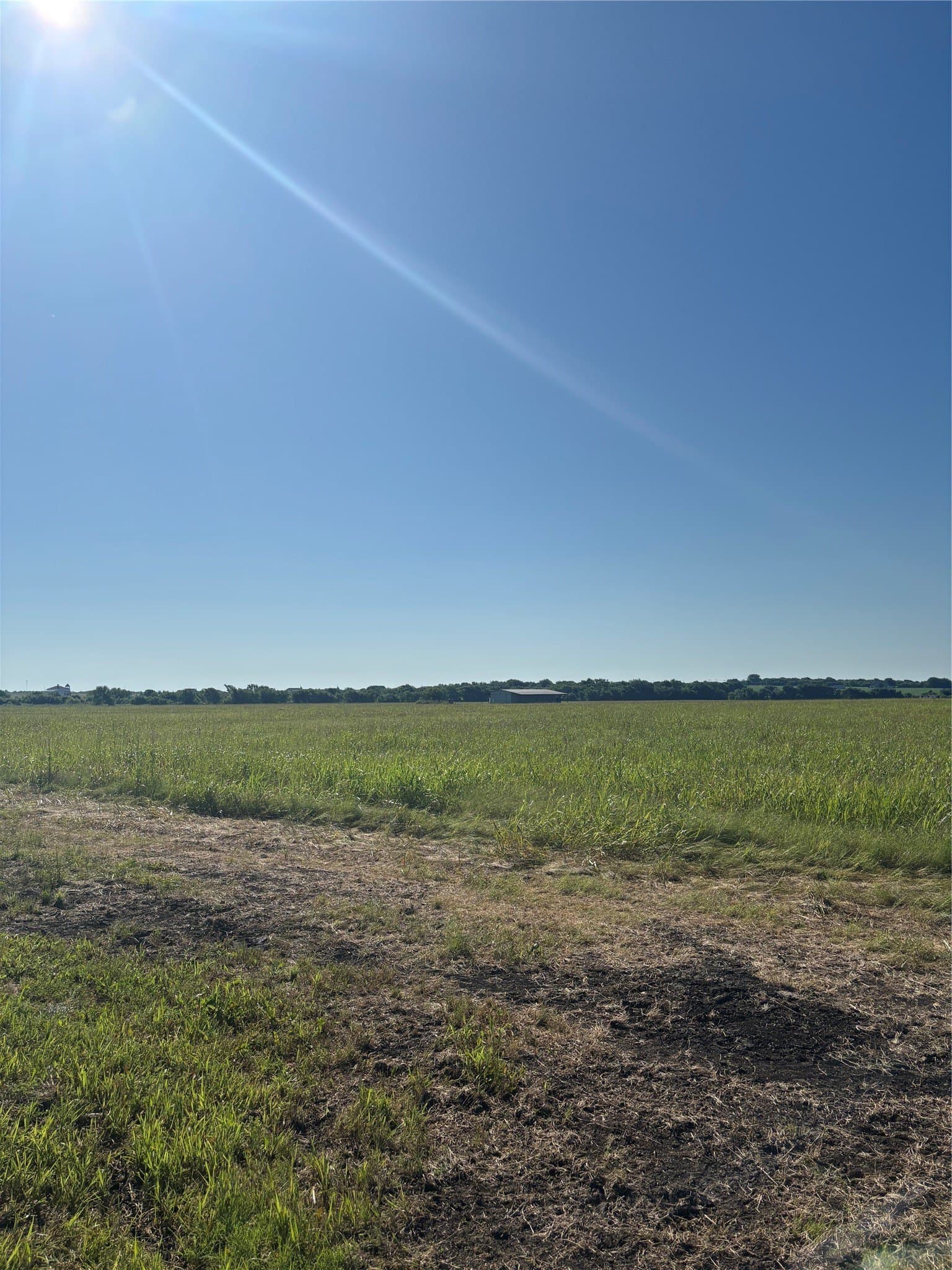 1.5 acres in Ellis County gallery image 3
