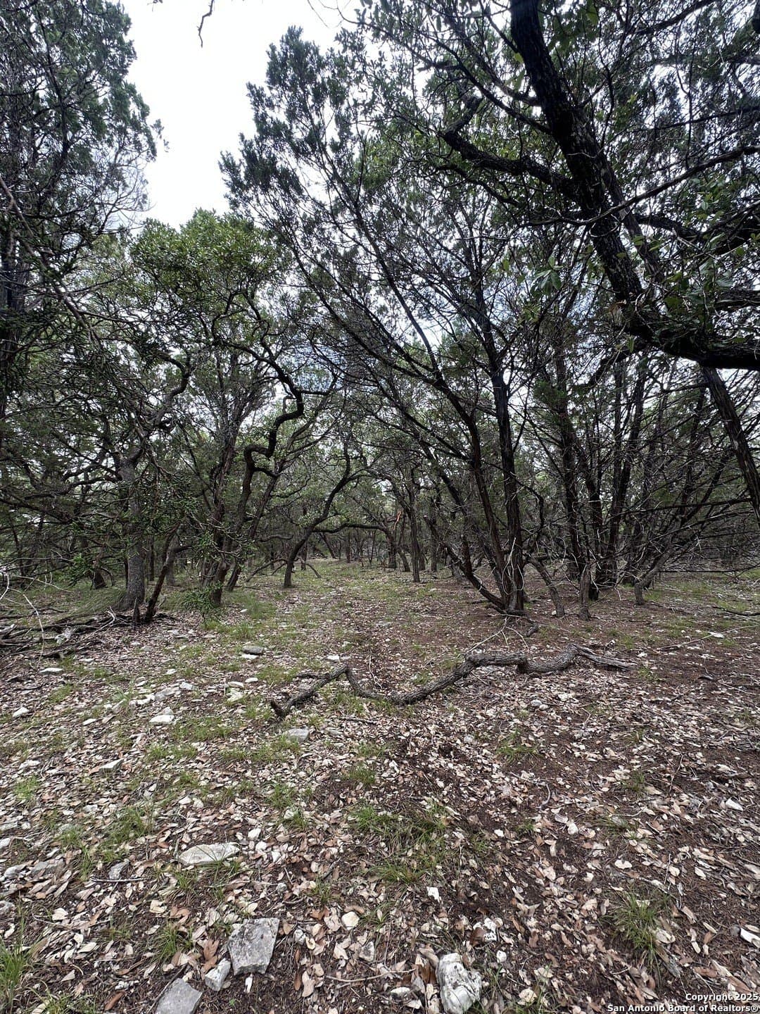 1.91 acres in Bexar County - photo 8