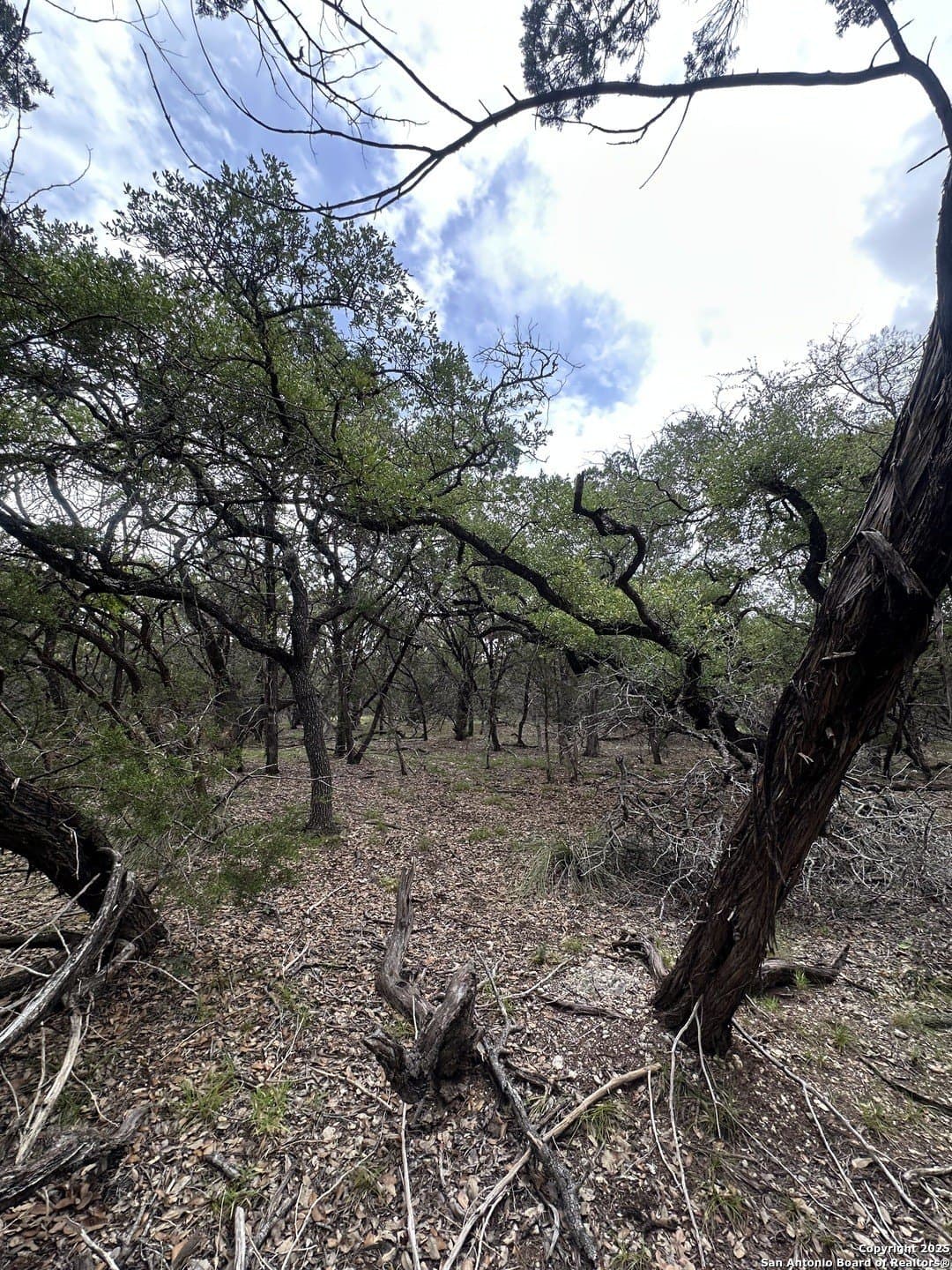 1.91 acres in Bexar County - photo 6