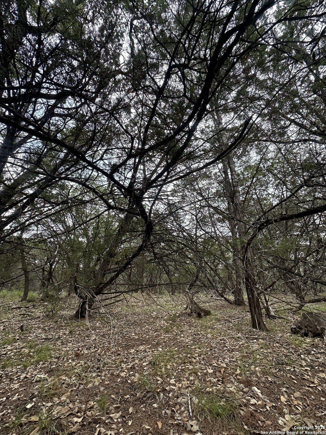 1.91 acres in Bexar County featured view