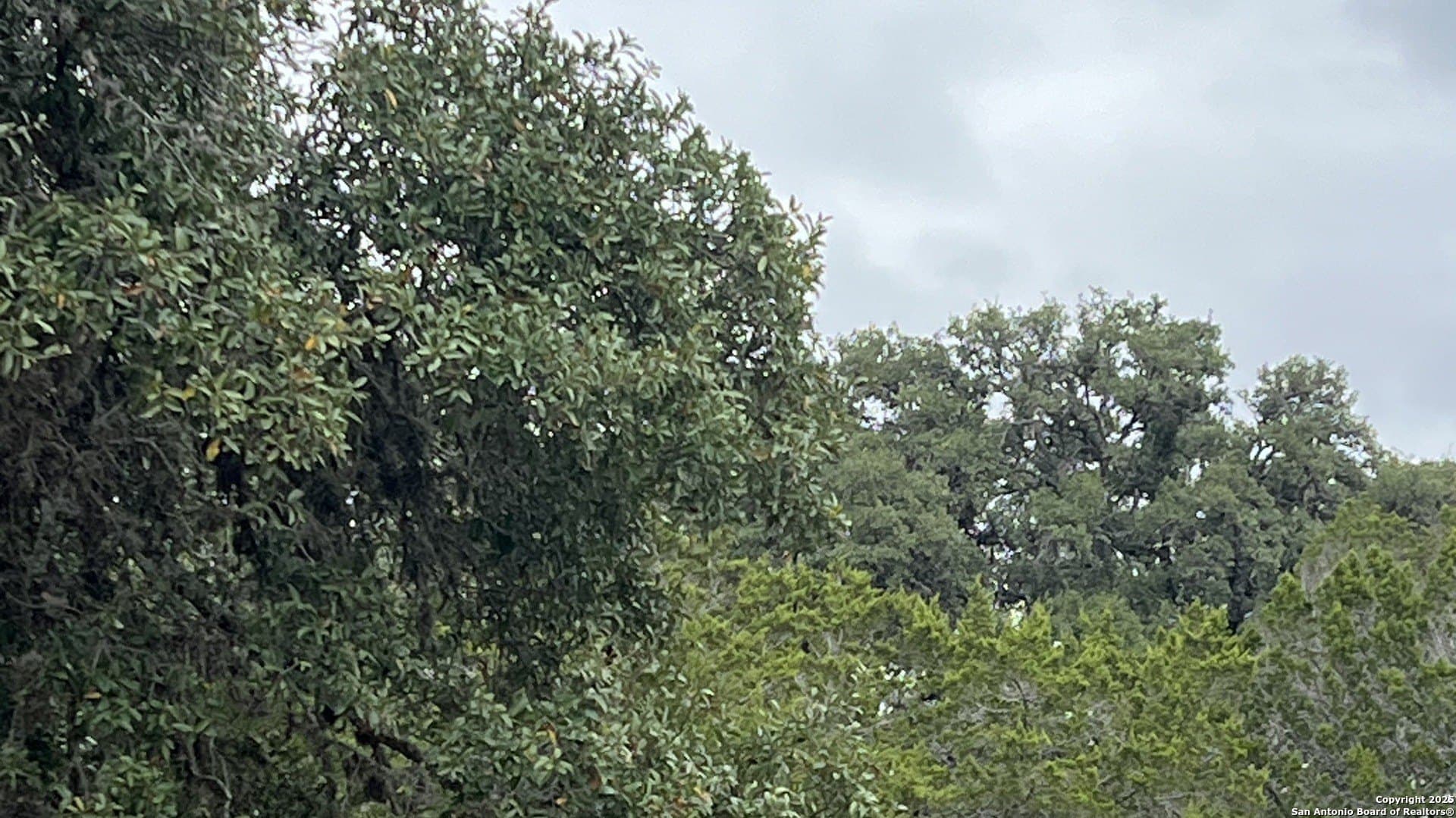 0.6 acres in Bandera County gallery image 4