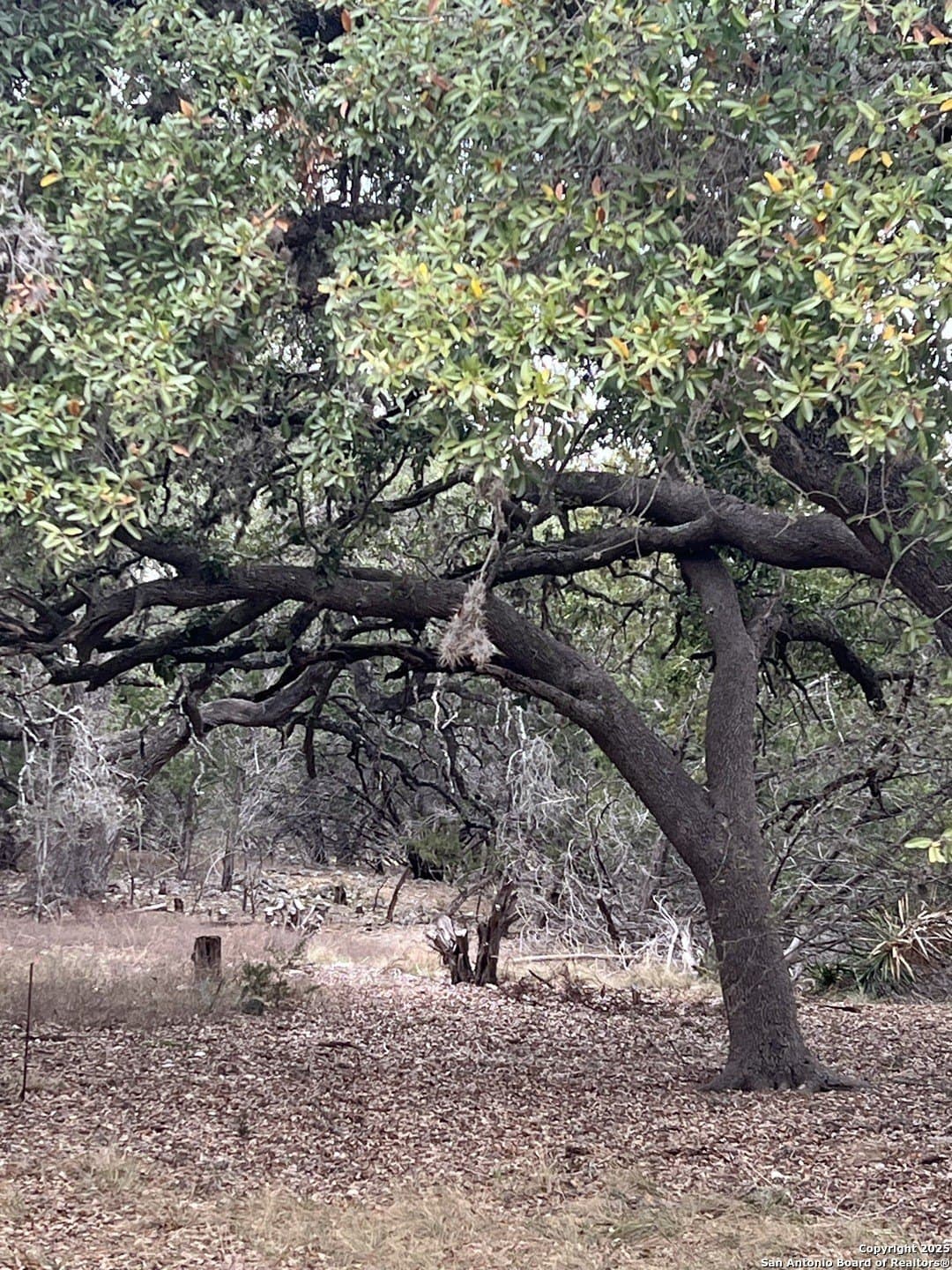 0.6 acres in Bandera County featured view