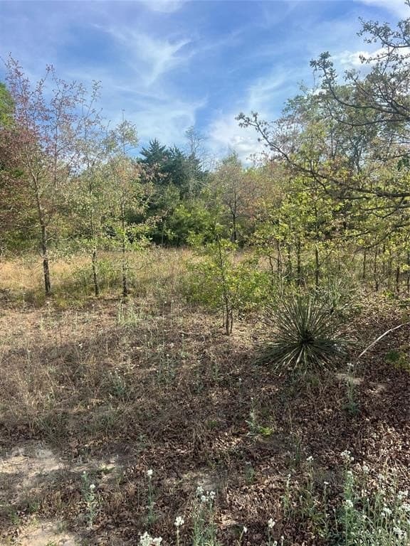 3.01 acres in Henderson County