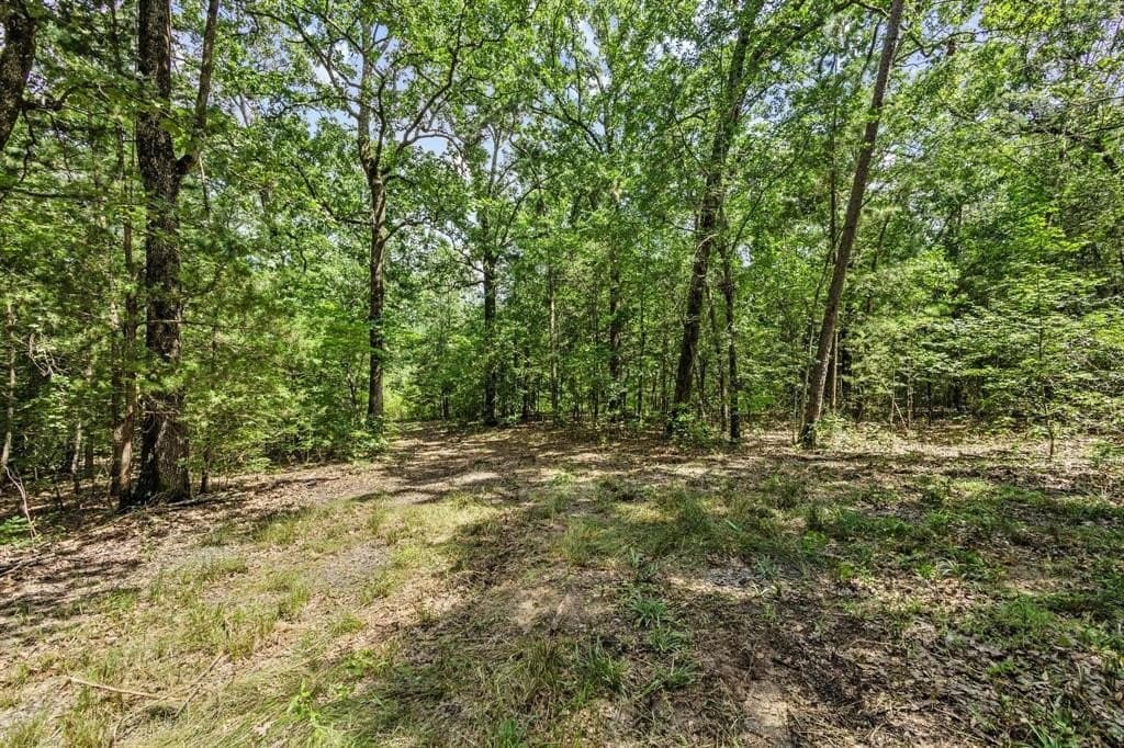 110 acres in Red River (TX) County gallery image 4