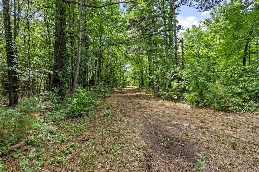 110 acres in Red River (TX) County gallery image 2