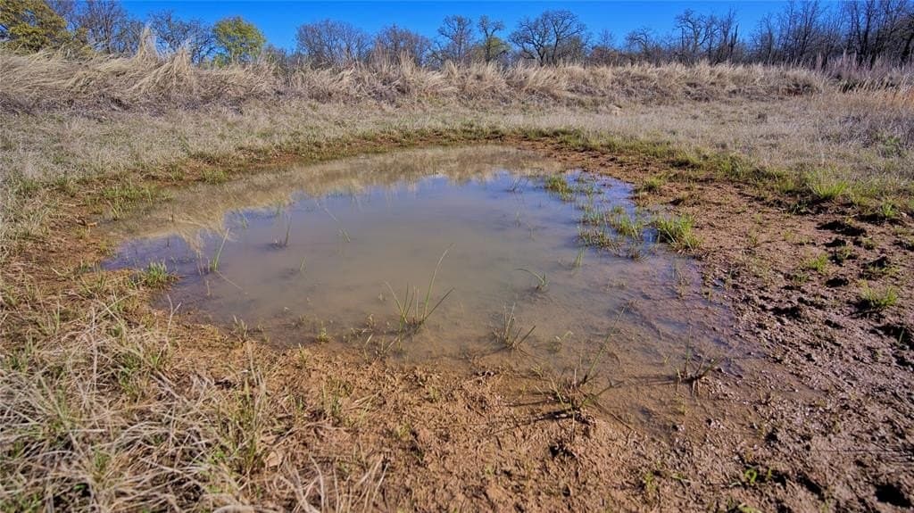 10 acres in Montague County gallery image 3