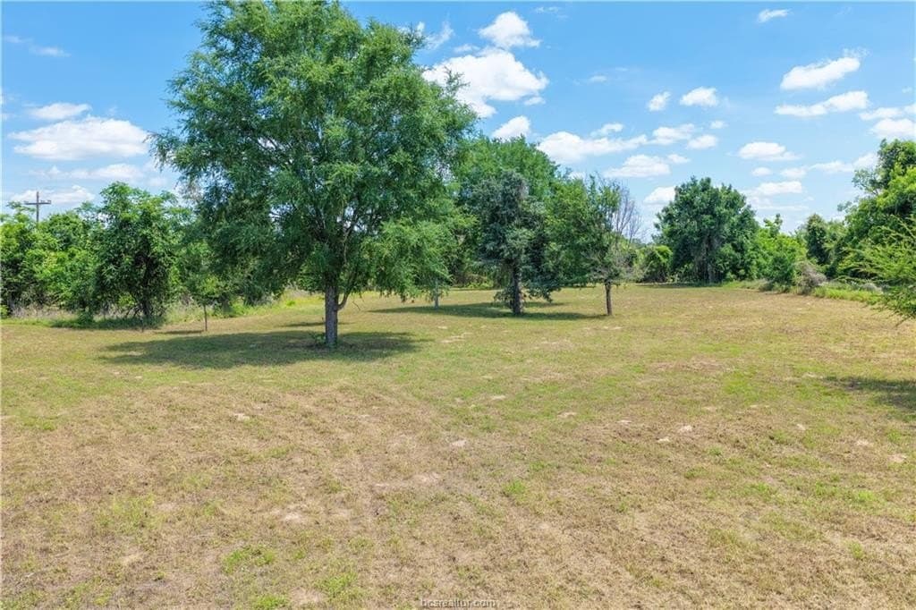 1.75 acres in Burleson County gallery image 4