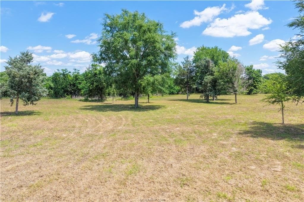 1.75 acres in Burleson County gallery image 3
