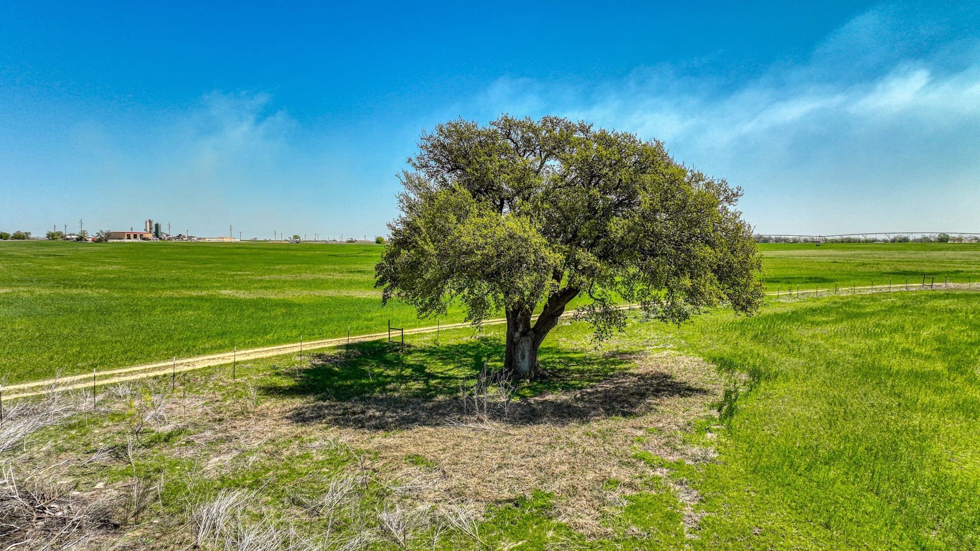210 acres in Erath County - photo 16