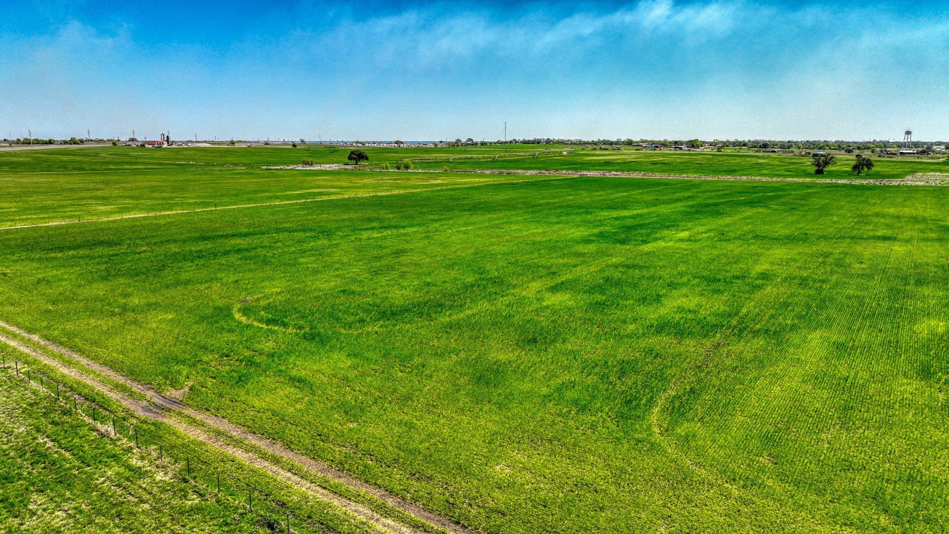 210 acres in Erath County - photo 15