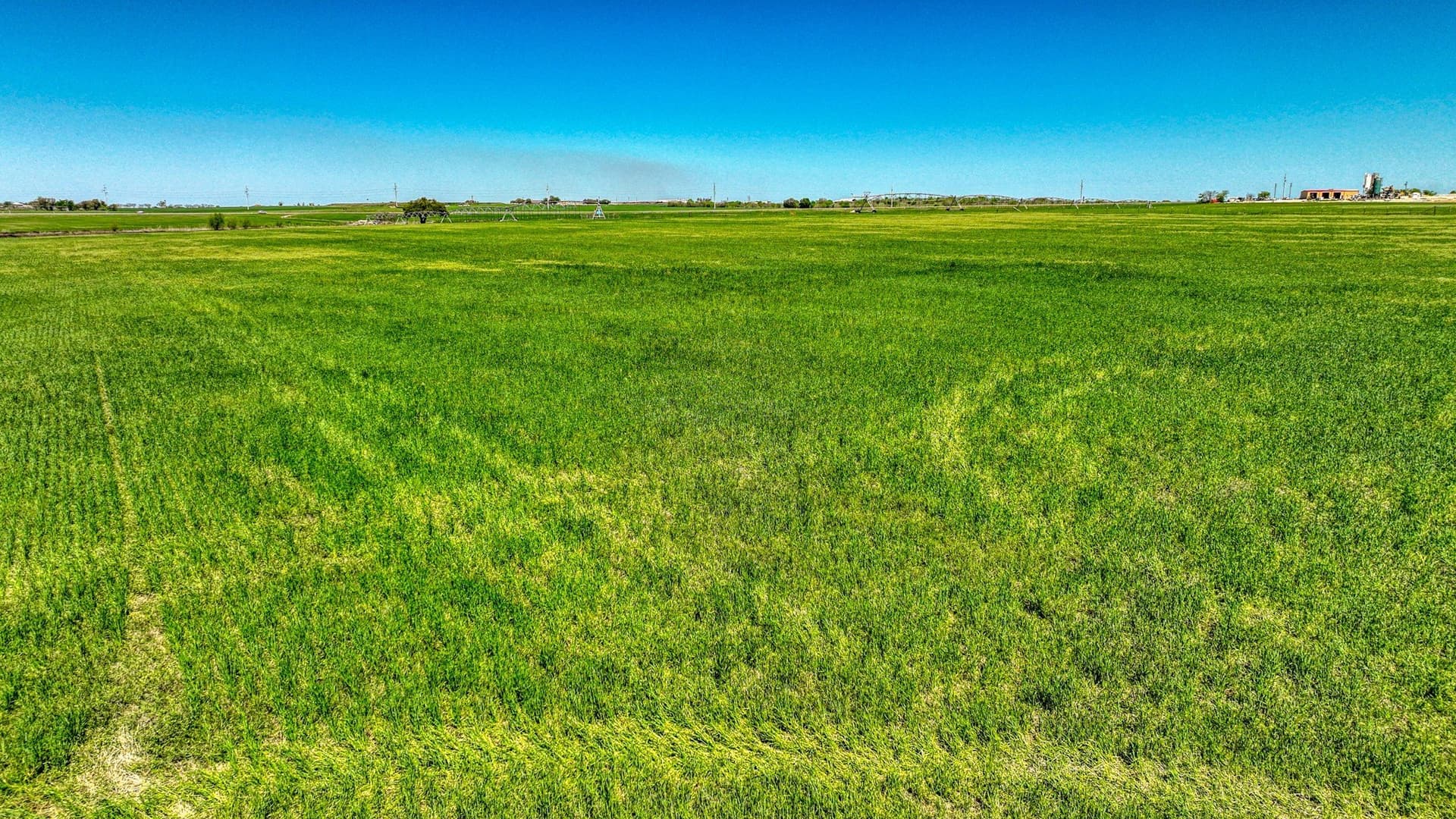 210 acres in Erath County - photo 22