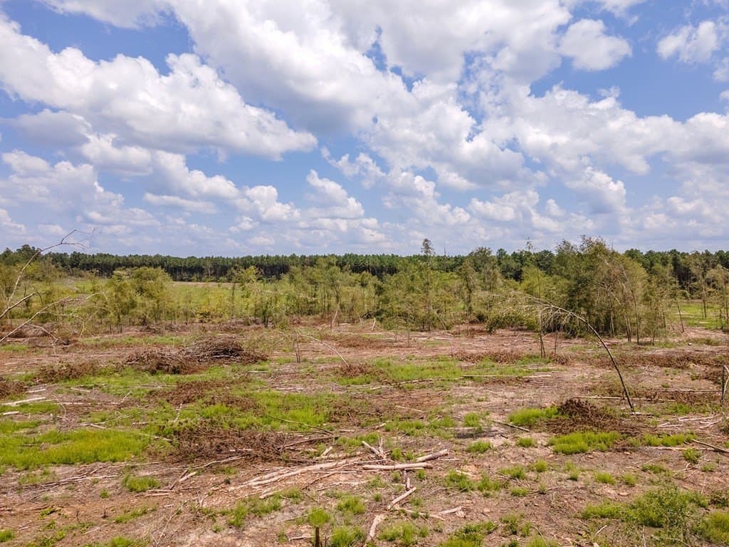 37.96 acres in Texas County gallery image 3