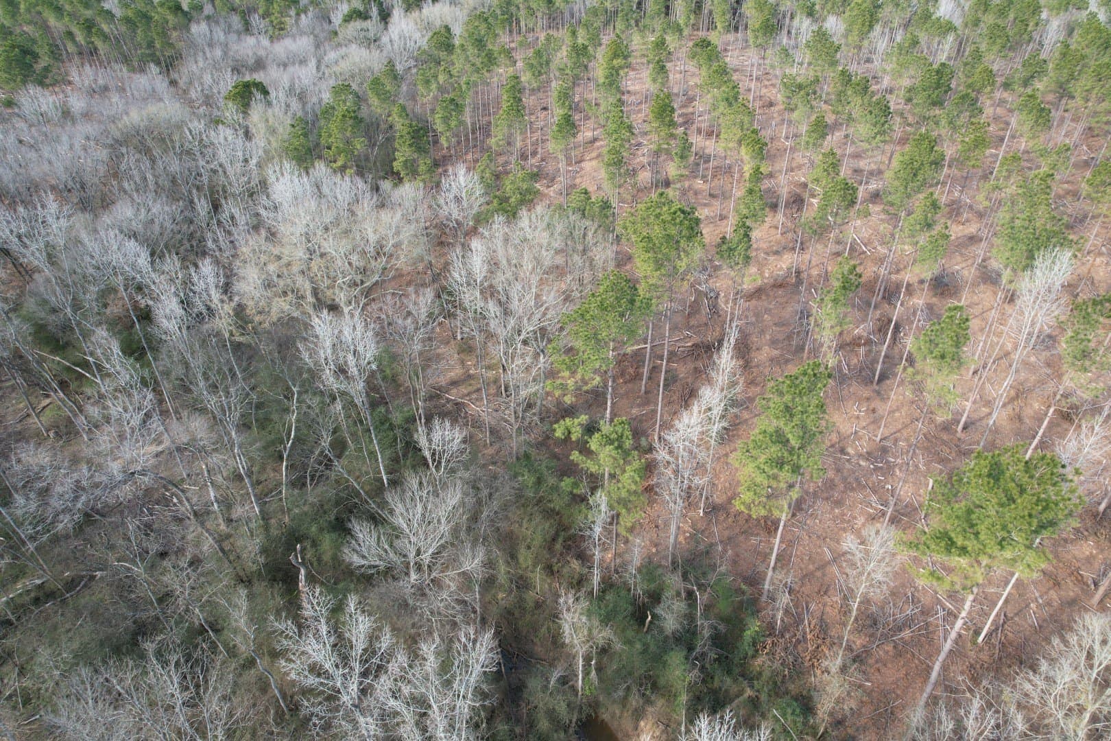 19 acres in Shelby County - photo 8