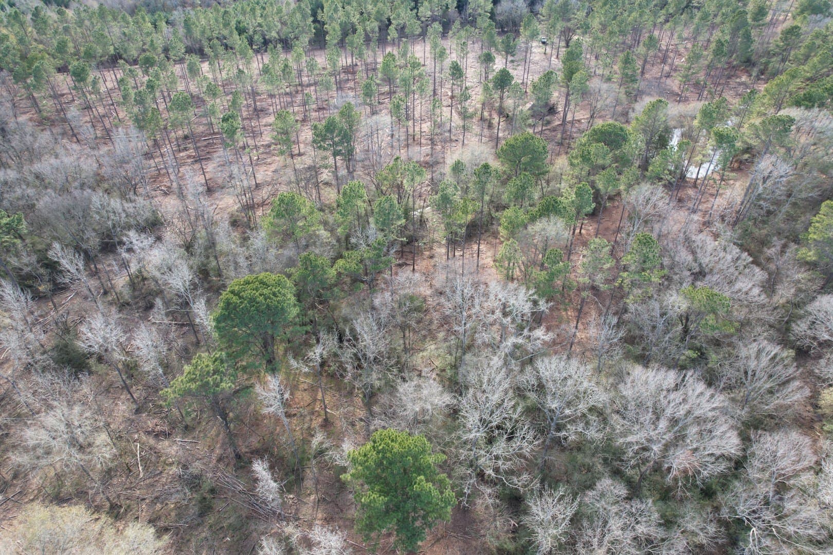 19 acres in Shelby County - photo 2