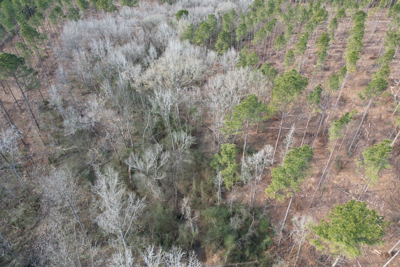 19 acres in Shelby County - photo 7