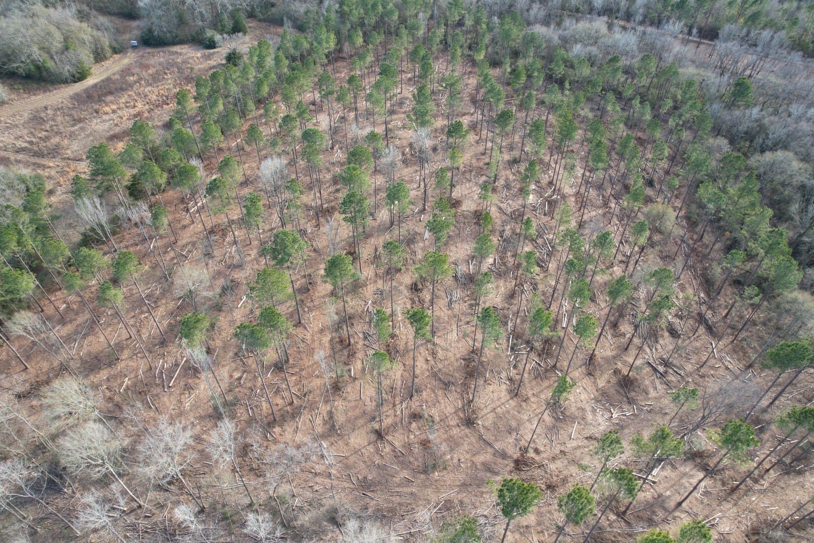 19 acres in Shelby County - photo 3