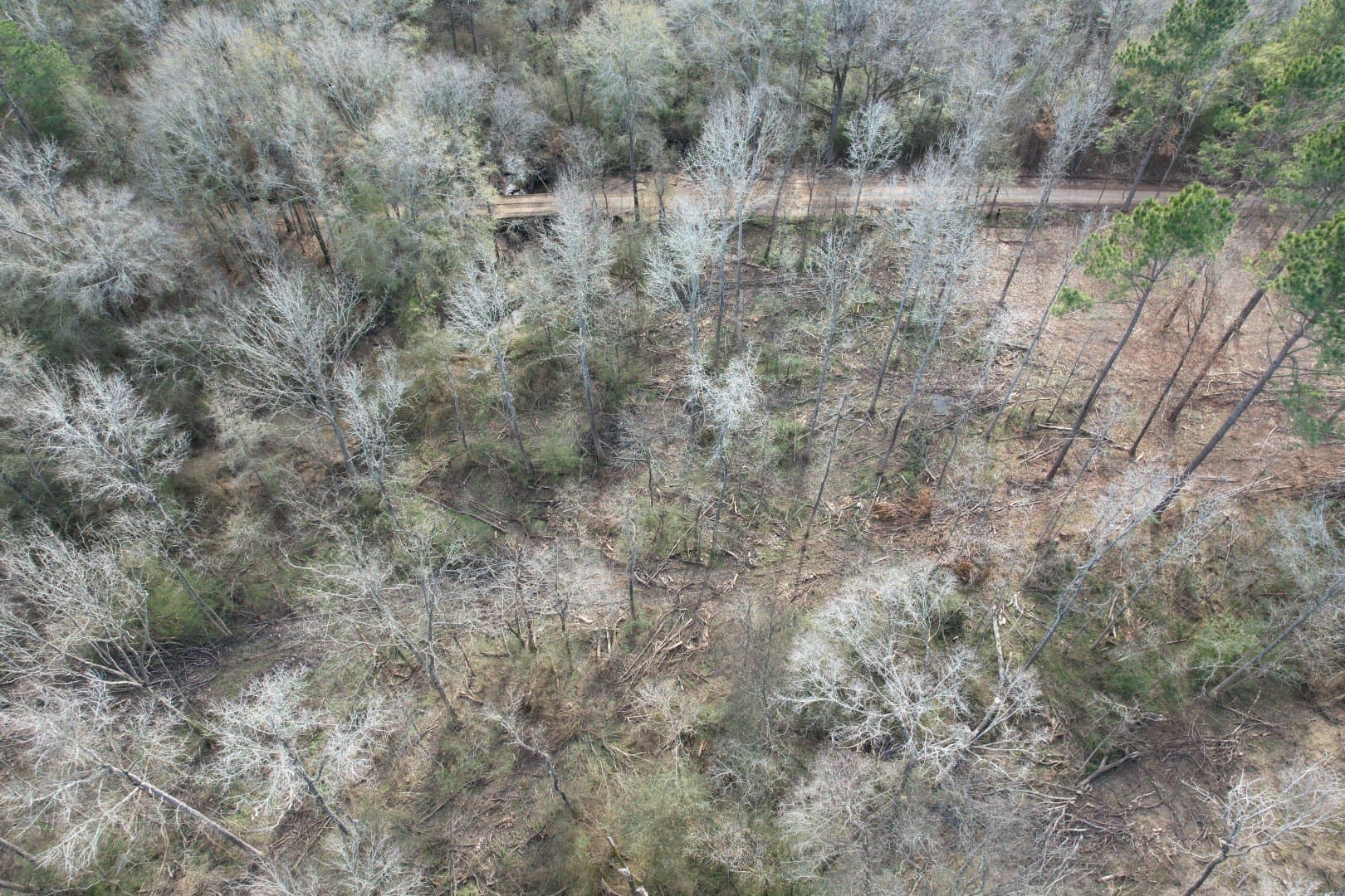 19 acres in Shelby County - photo 6