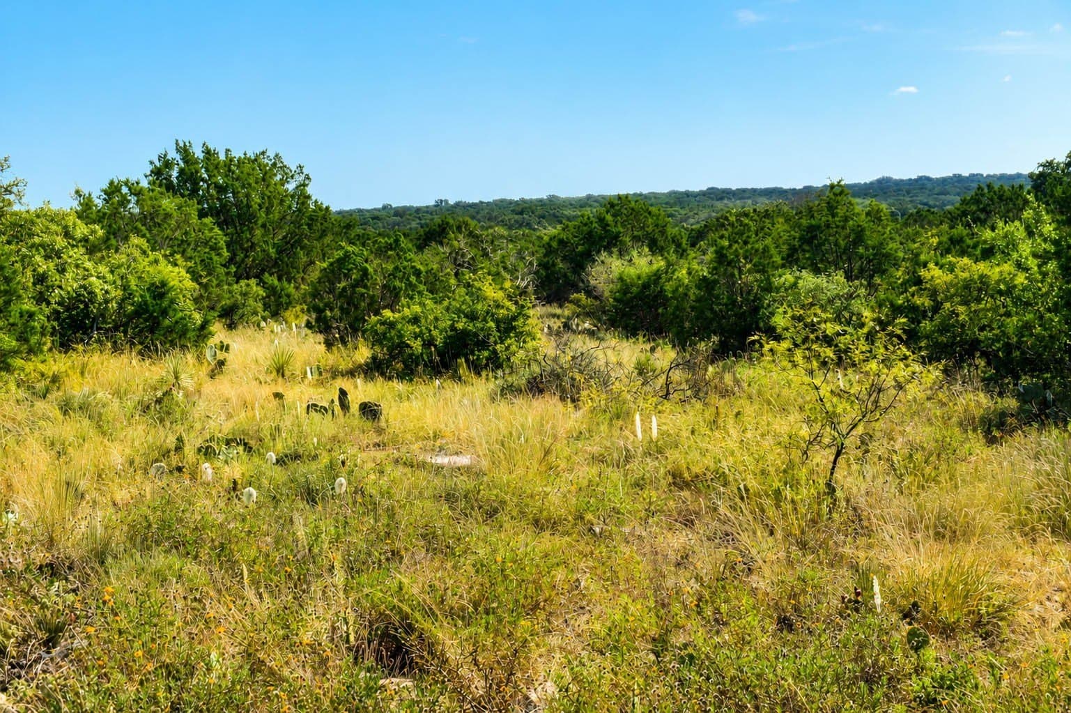 400 acres in McCulloch County - photo 12