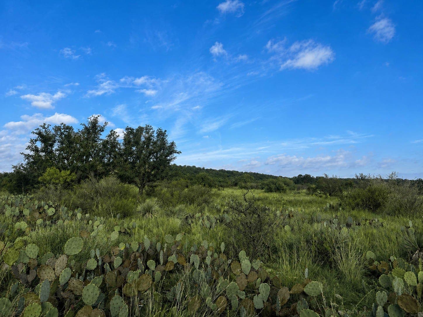 400 acres in McCulloch County - photo 16