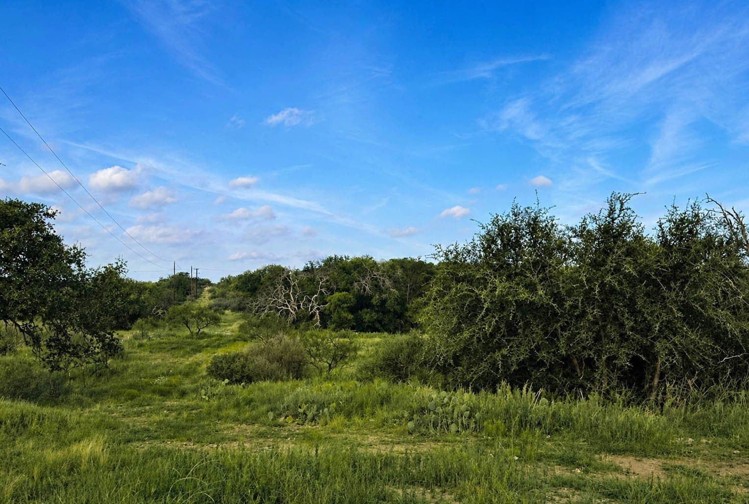 400 acres in McCulloch County - photo 18