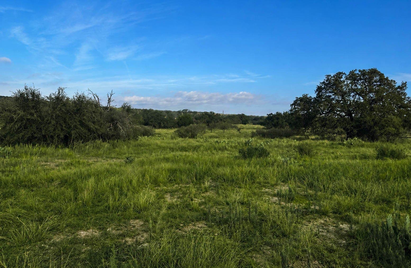 400 acres in McCulloch County - photo 19