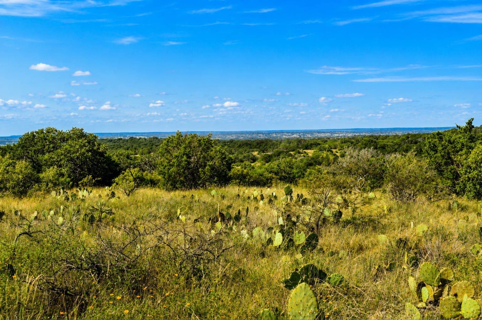 400 acres in McCulloch County - photo 7