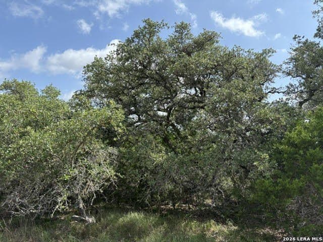 3 acres in Comal County - photo 6