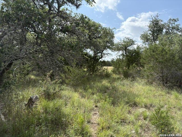 3 acres in Comal County featured view