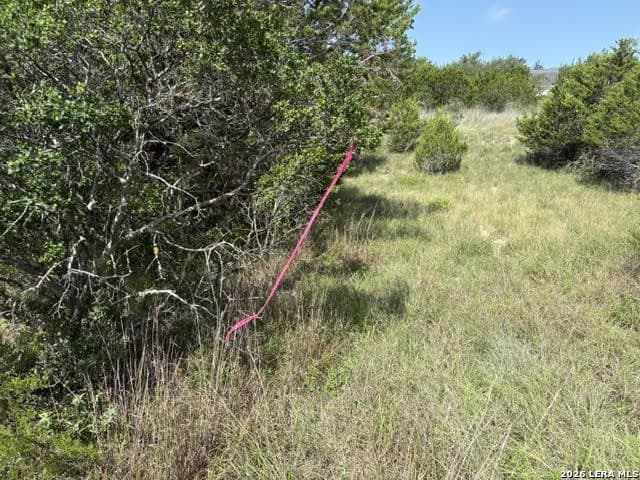 3 acres in Comal County - photo 21