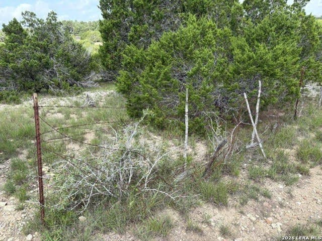 3 acres in Comal County - photo 19