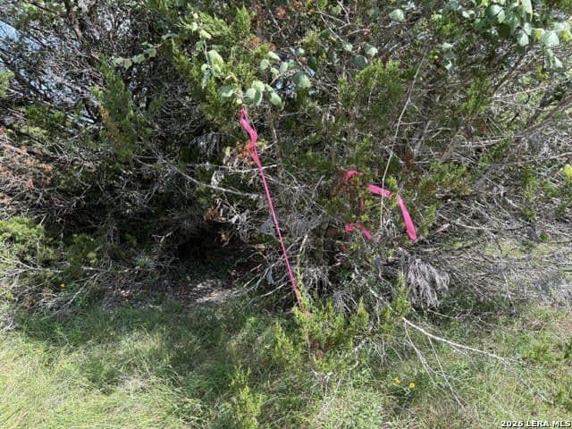 3 acres in Comal County - photo 24
