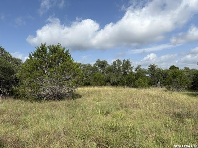 3 acres in Comal County - photo 14