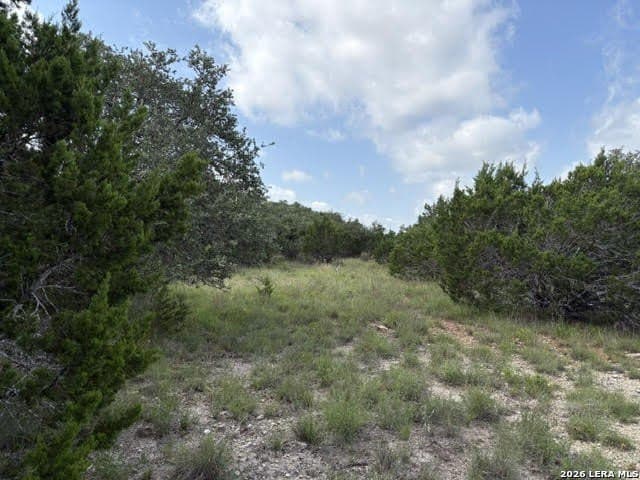 3 acres in Comal County - photo 17