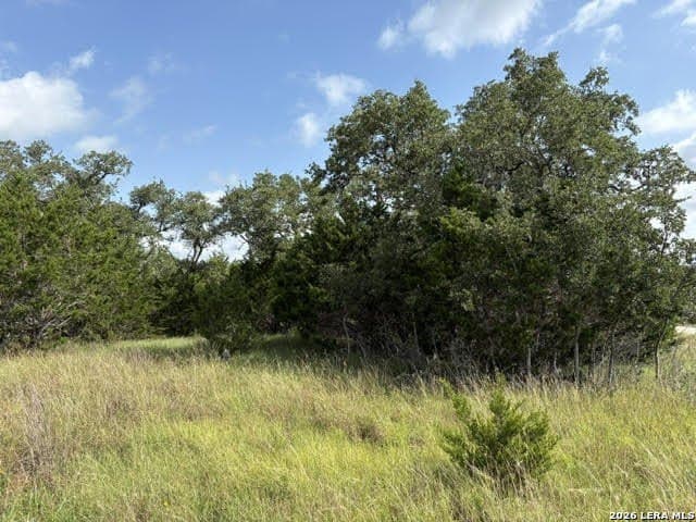 3 acres in Comal County - photo 13