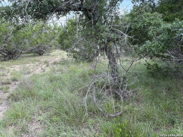 3 acres in Comal County - photo 16