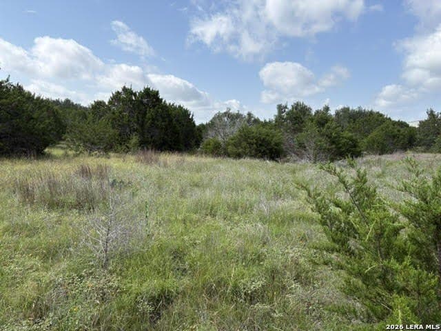 3 acres in Comal County - photo 23