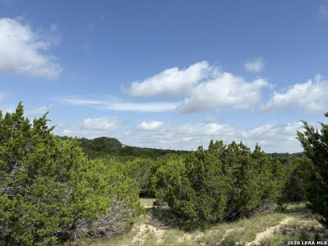 3 acres in Comal County - photo 20