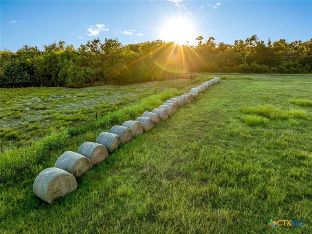 52.63 acres in Bell County gallery image 2