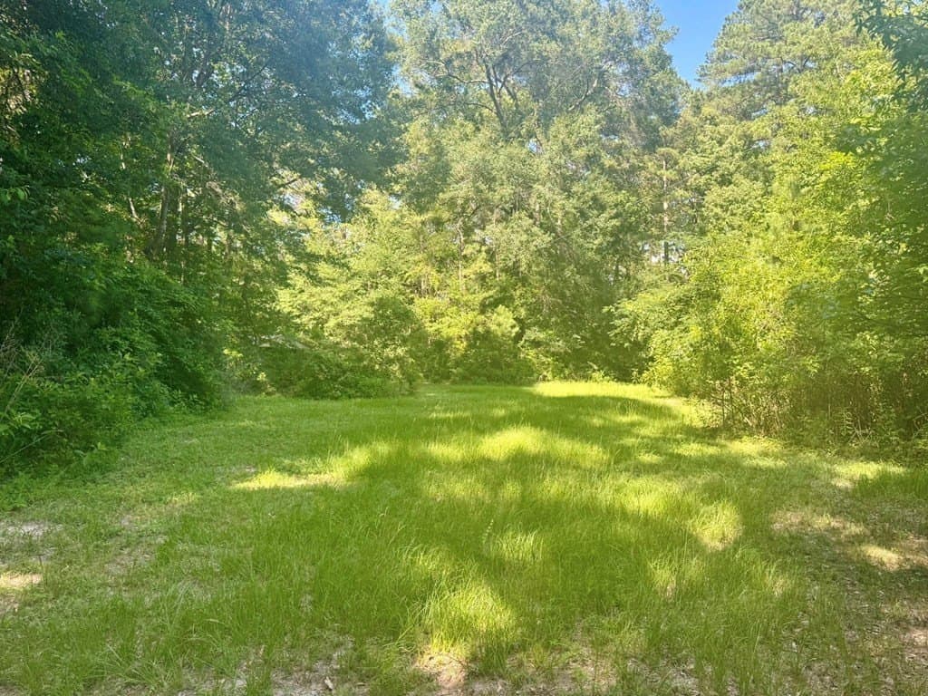 10.46 acres in Texas County - photo 13