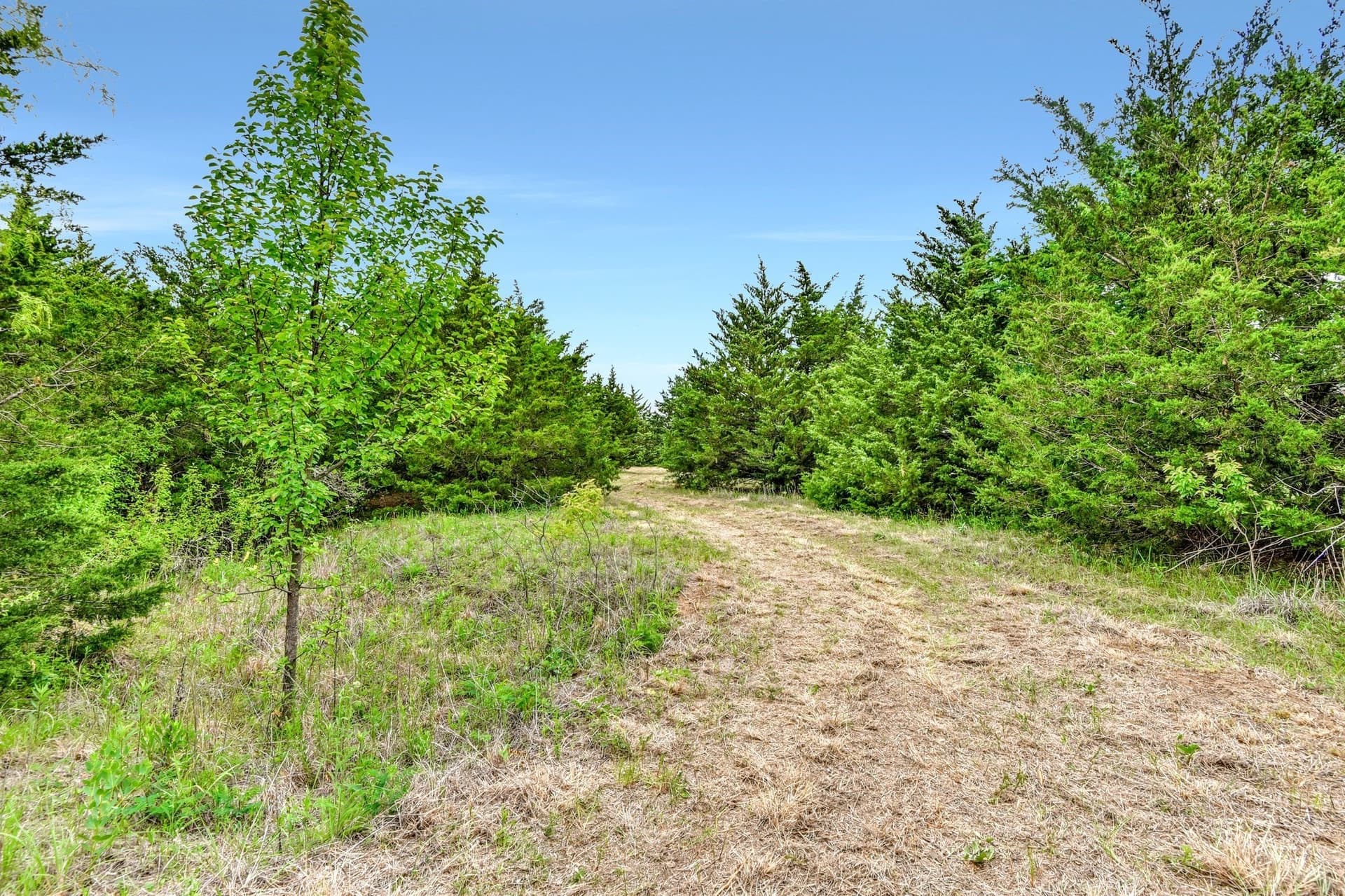10.99 acres in Grayson County